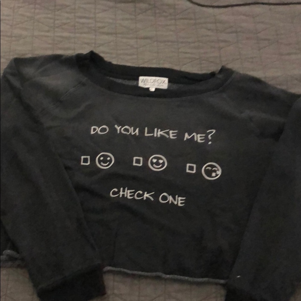 Wildfox sweatshirt large.
